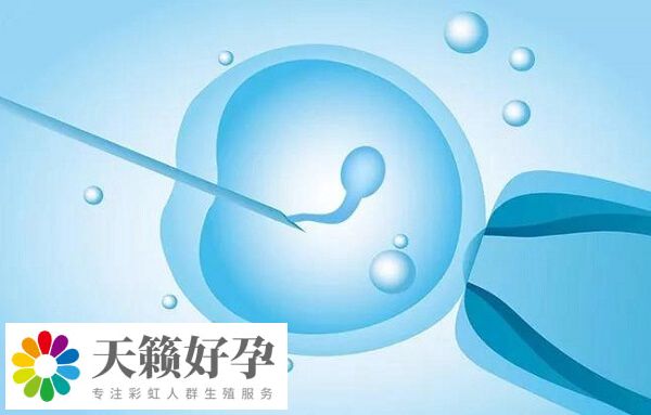 過(guò)于肥胖會(huì)影響試管嬰兒成功率