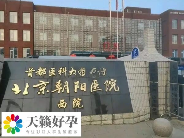 試管前的檢查有哪些