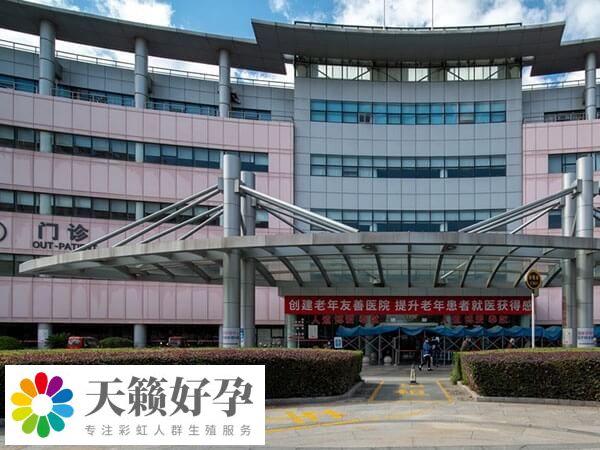 試管胎停怎么辦