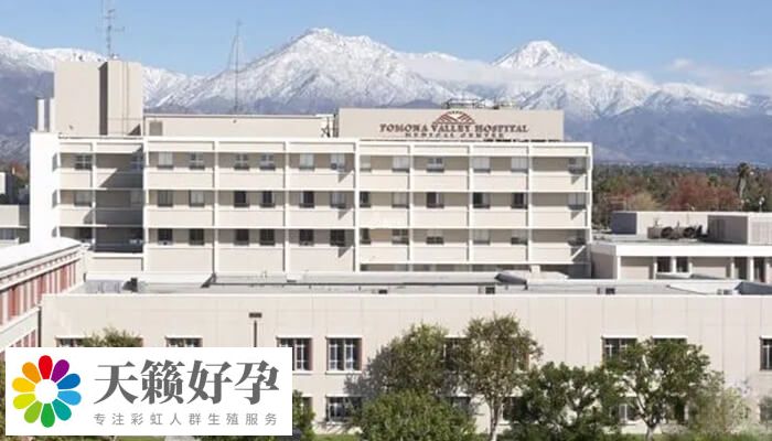 美國三代試管成功率多少