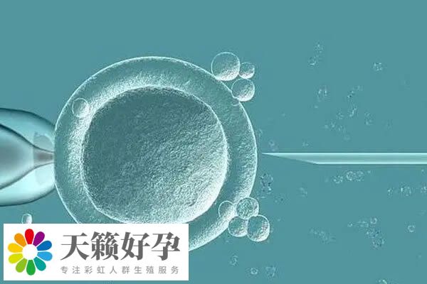 身體條件好的患者試管成功率高