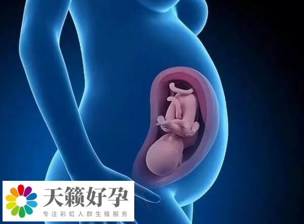 北大深圳醫院三代試管嬰兒成功率且60%