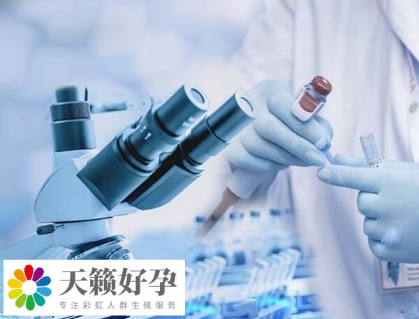 女性體重會(huì)影響試管嬰兒成功率