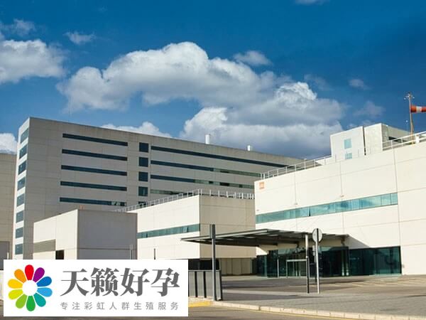 上海十院試管成功率多少