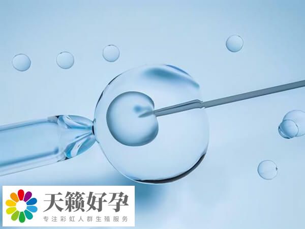 試管嬰兒成功率