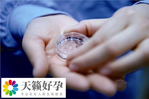 年齡越大試管成功率越低