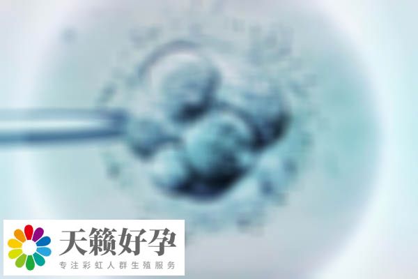 已生寶寶的說說，t卵p生的孩子會像p嗎？