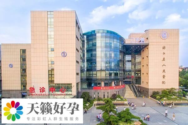 杭州三代試管成功率多少