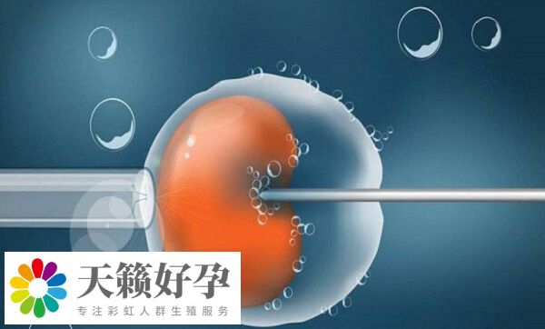 試管嬰兒成功率會隨女性年齡增長下降