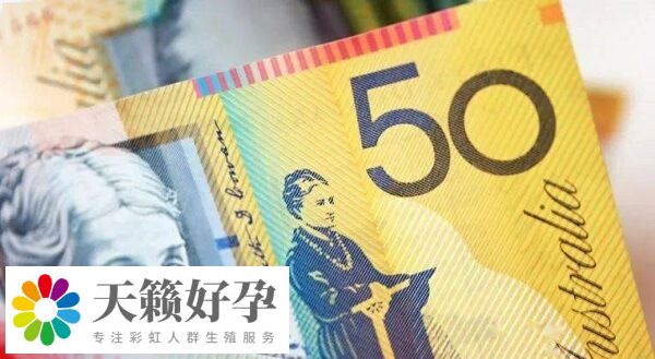 試管嬰兒胚胎保存費(fèi)要1萬元左右