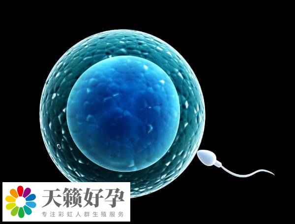 心理狀態(tài)會影響到試管嬰兒成功率