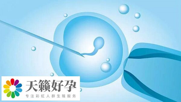 年齡是影響試管成功率因素之一