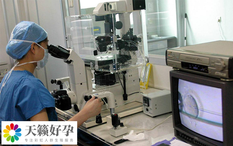 胚胎觀察器Embryoscope plus