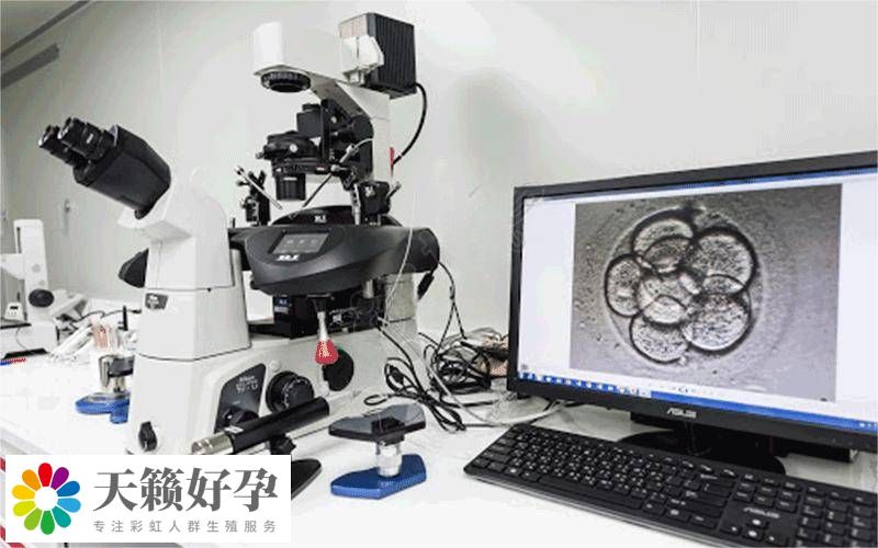 胚胎觀察器