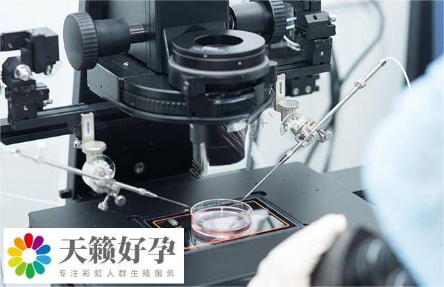 生殖醫院醫學設備