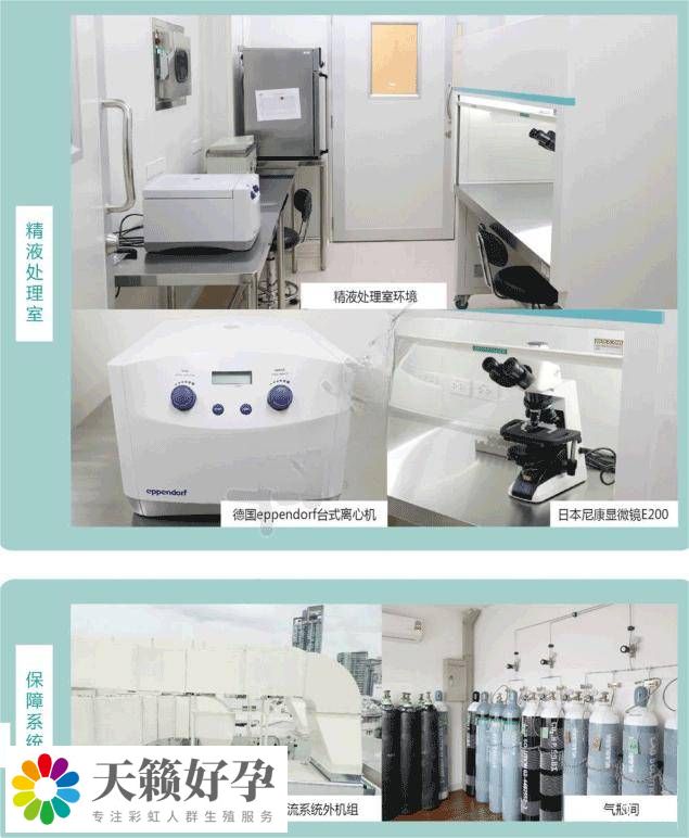 曼谷RFG精液處理室