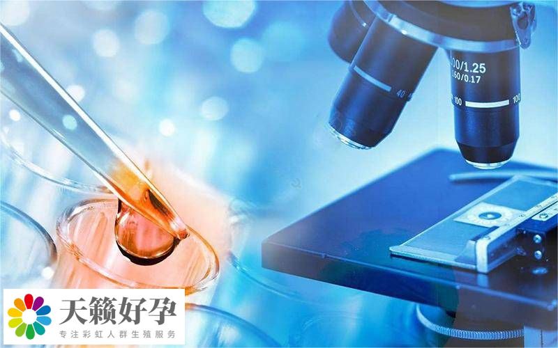 工作中的醫(yī)師