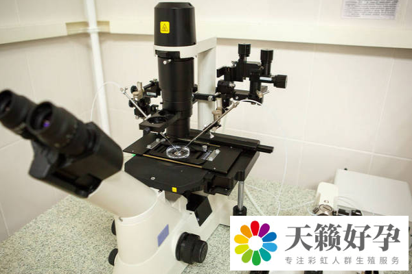 試管嬰兒和自然懷孕的區別介紹