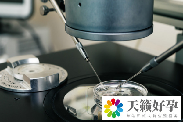 試管嬰兒費用為什么每個人不一樣