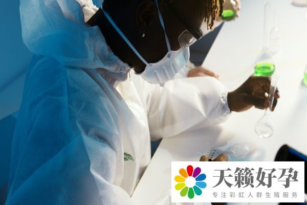 試管雙胞胎和單胎價格搶先看