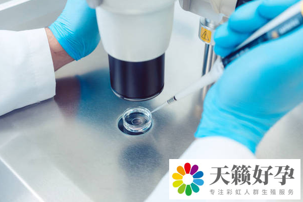 第三代試管嬰兒成功率多高