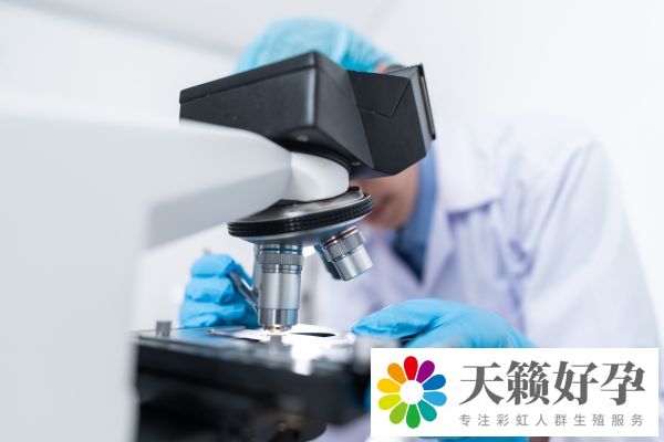 試管嬰兒的全部流程及費(fèi)用,試管嬰兒的好處和壞處
