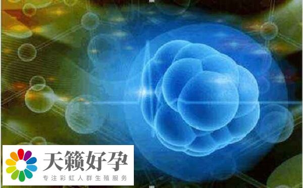 人工周期和自然周期的成功率哪個高