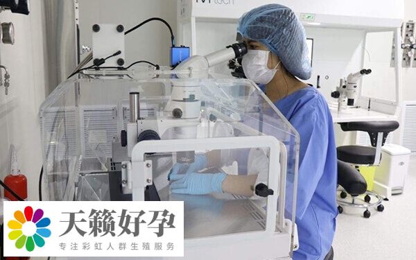 卵子質量差會影響受精