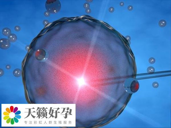 國(guó)內(nèi)禁止單身女性進(jìn)行凍卵