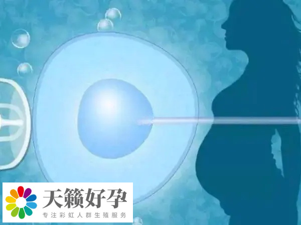 國內禁止單身試管嬰兒實施