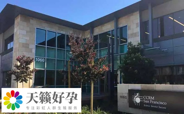 美國支持單身試管嬰兒