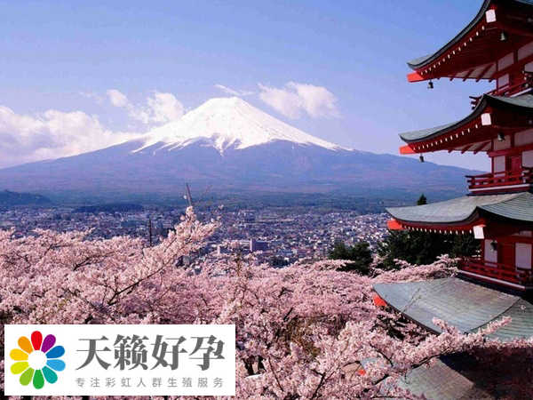 日本的地方法律相對開放