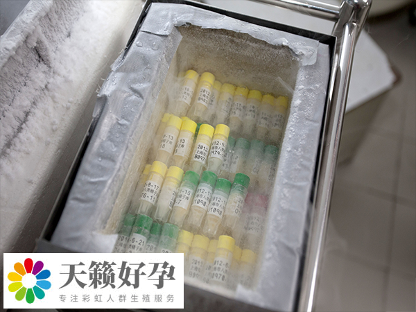 無結(jié)婚證做試管嬰兒犯不犯法