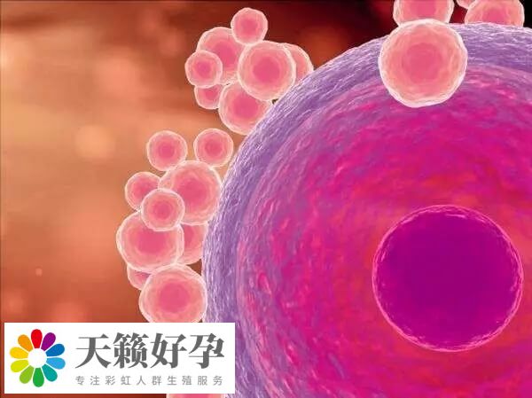 月經規律能不能保證試管成功率