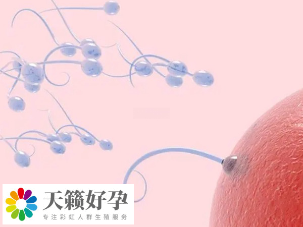 生殖科促排要不孕不育證明