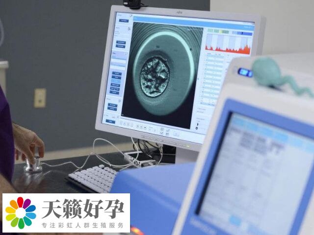 影響試管嬰兒妊娠率的因素有哪些