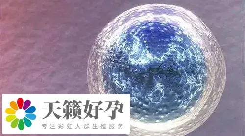 助孕機構(gòu)做三代試管產(chǎn)子多少錢,費用清單新鮮出爐