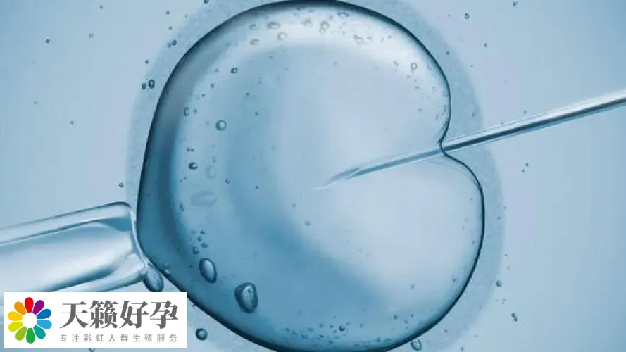 助孕機構(gòu)做三代試管產(chǎn)子多少錢,費用清單新鮮出爐