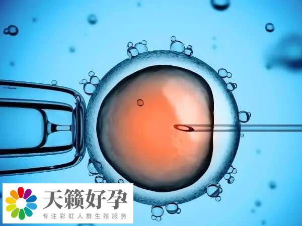 做試管嬰兒要求有不孕不育指征