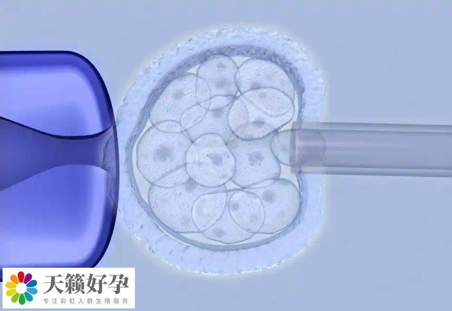 倆個女人做試管采用什么方案?附女同廣州三代試管具體收費標準