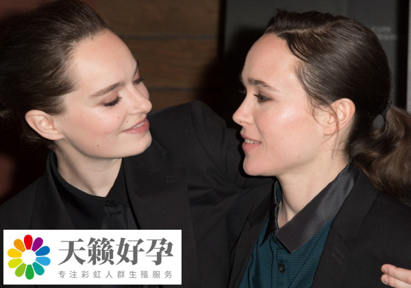 les不能去泰國(guó)做試管