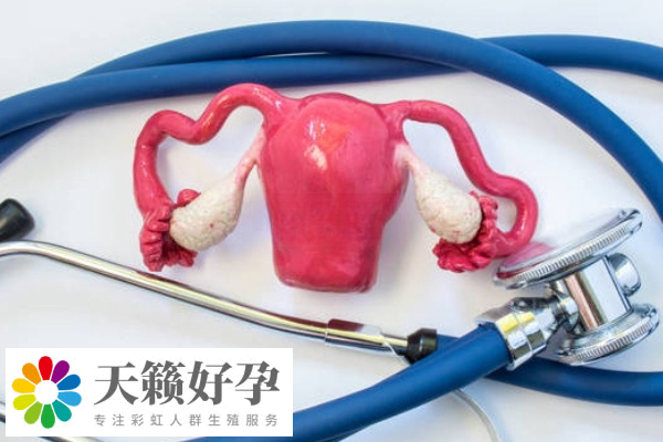 反復胎停做試管是否可以解決