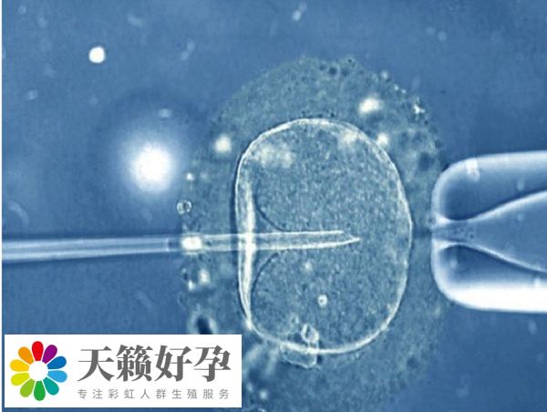 二代試管的成功率大概在40%-50%