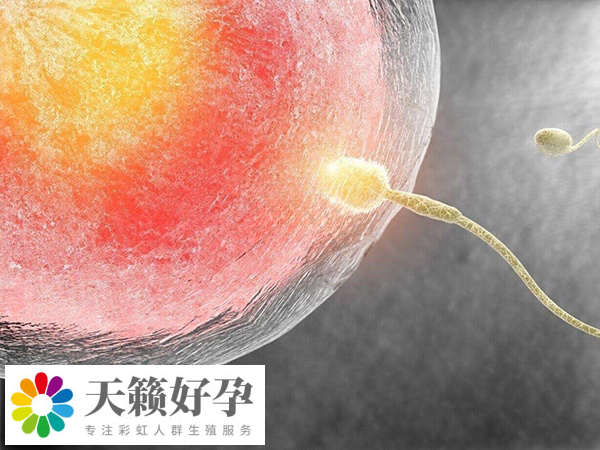 普通試管和供精試管流程基本一致