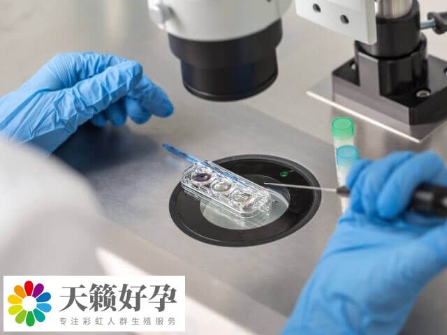 試管助孕應該做些什么準備