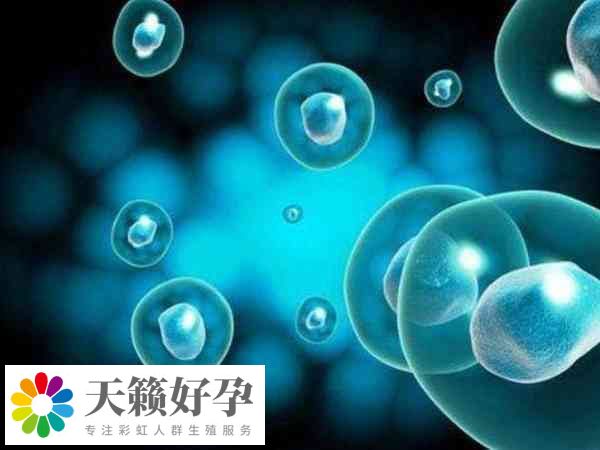 促排后取卵數量為什么不一樣