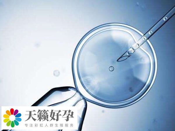 試管治療嘗試次數越多成功率也不一定高