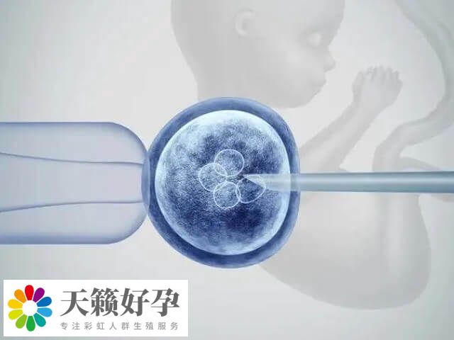 一年可以做幾次試管嬰兒