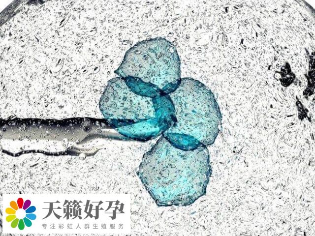 二代試管成功率高