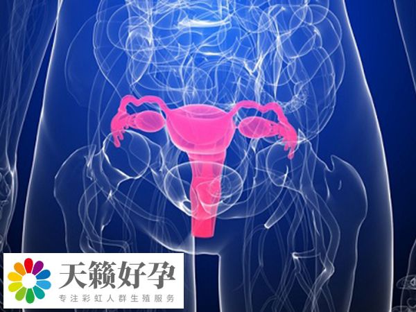 暖宮通常是指改善子宮內環境的措施